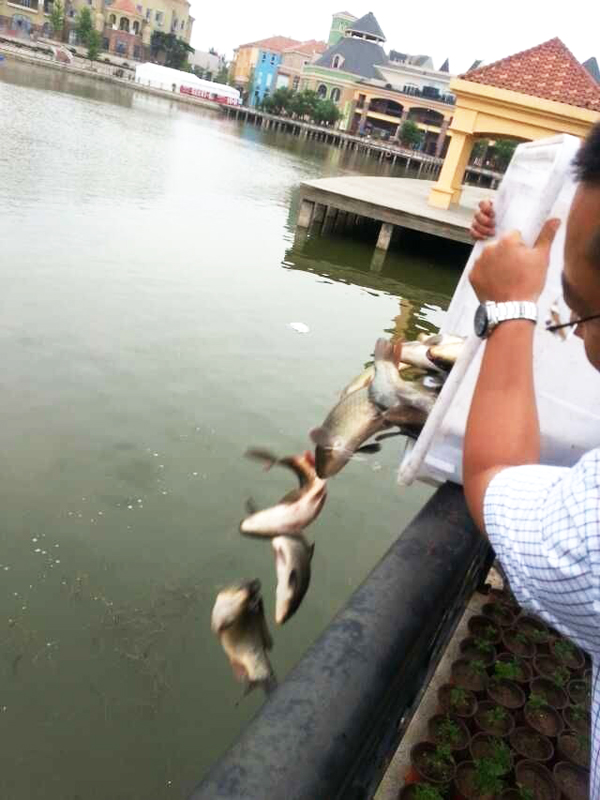 DG视讯·(中国区)官方网站