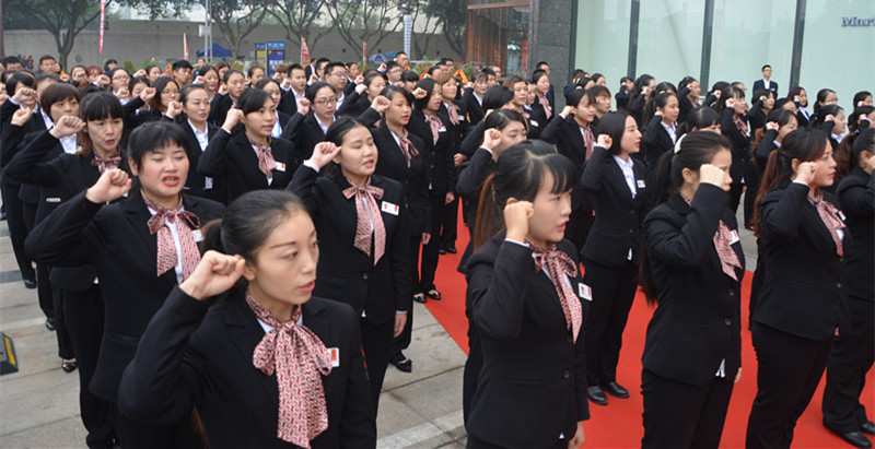 DG视讯·(中国区)官方网站