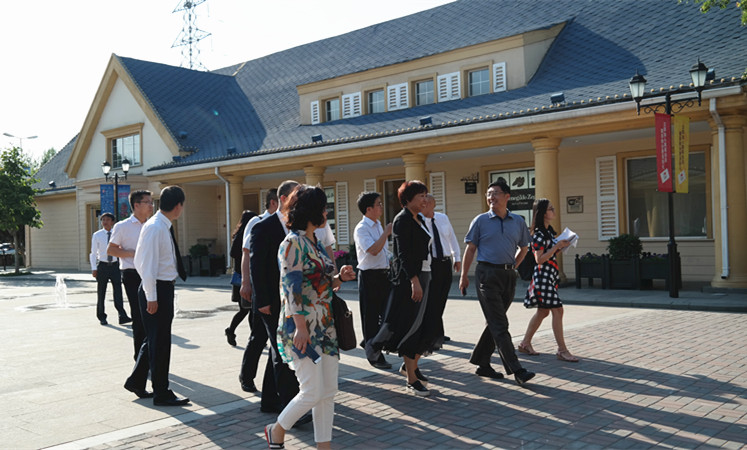 DG视讯·(中国区)官方网站