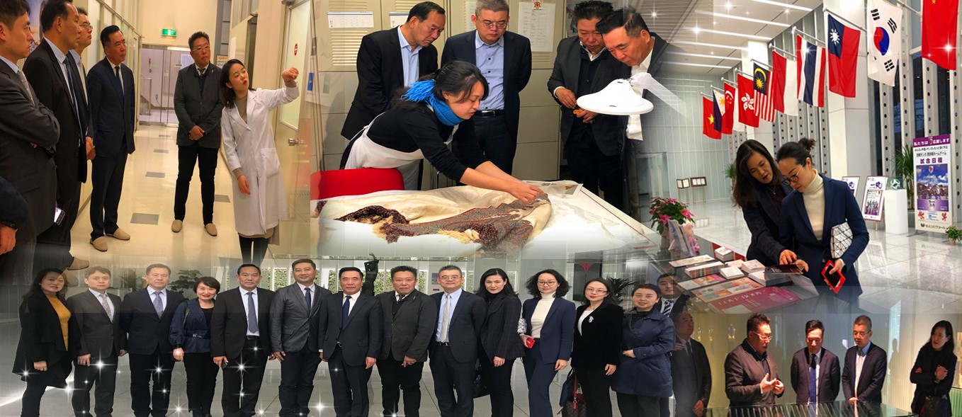 DG视讯·(中国区)官方网站