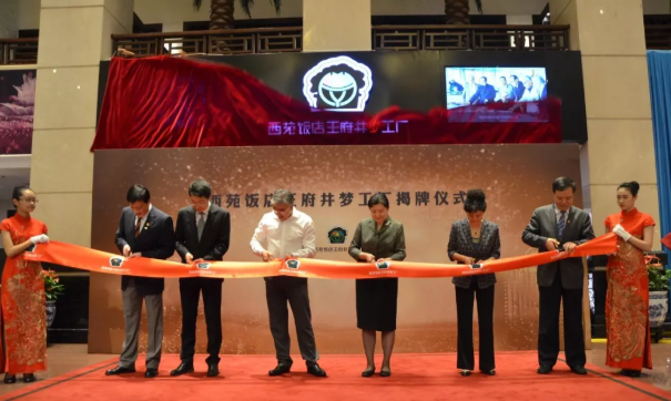 DG视讯·(中国区)官方网站