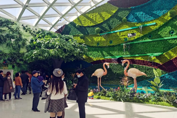 DG视讯·(中国区)官方网站