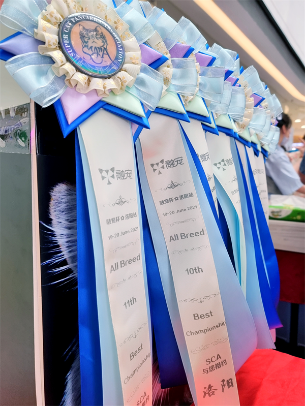 DG视讯·(中国区)官方网站