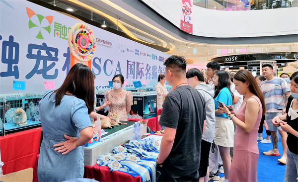 DG视讯·(中国区)官方网站