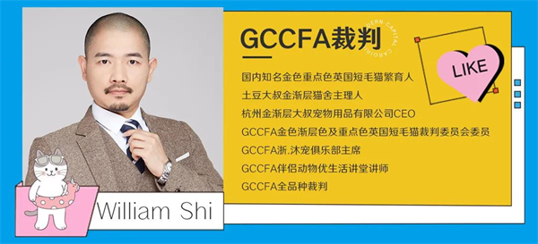 DG视讯·(中国区)官方网站