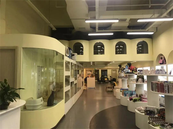 DG视讯·(中国区)官方网站