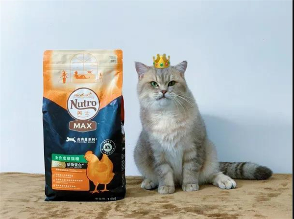 DG视讯·(中国区)官方网站