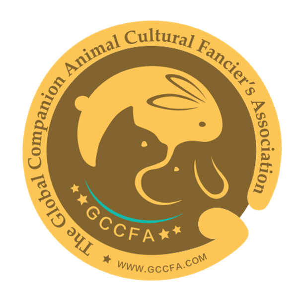 DG视讯·(中国区)官方网站