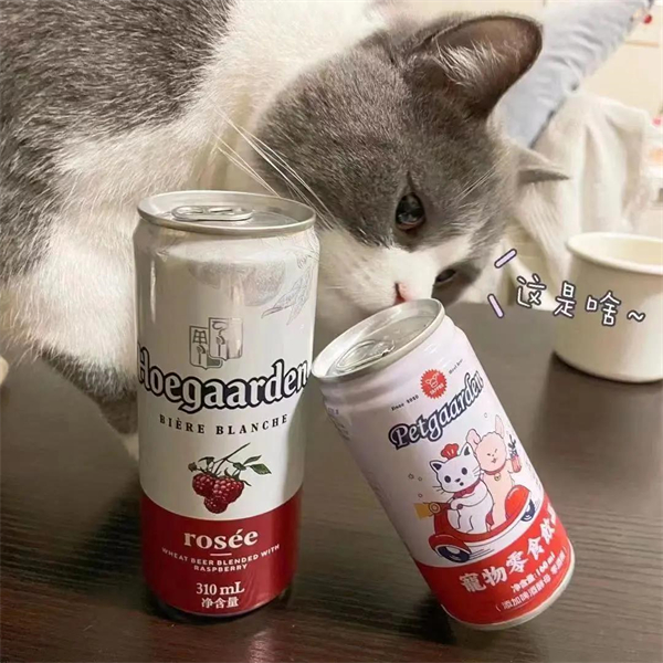 DG视讯·(中国区)官方网站