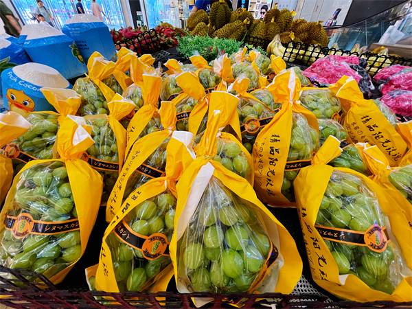 DG视讯·(中国区)官方网站