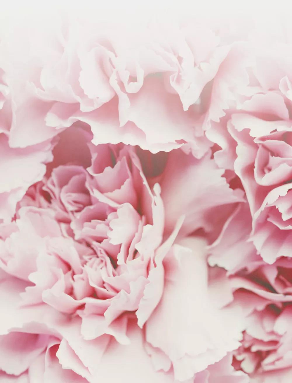 DG视讯·(中国区)官方网站