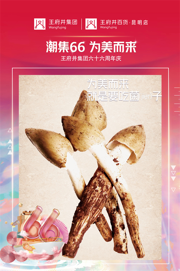 DG视讯·(中国区)官方网站