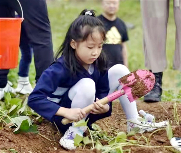 DG视讯·(中国区)官方网站