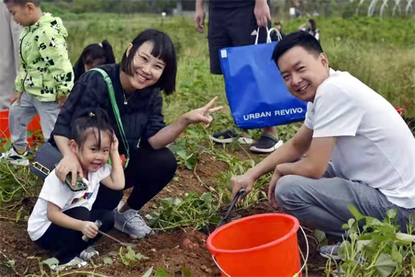 DG视讯·(中国区)官方网站