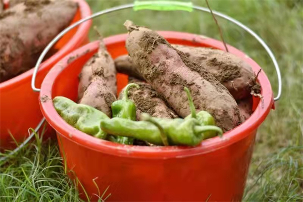 DG视讯·(中国区)官方网站