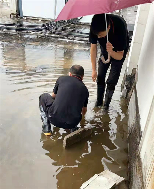 DG视讯·(中国区)官方网站