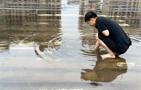 DG视讯·(中国区)官方网站