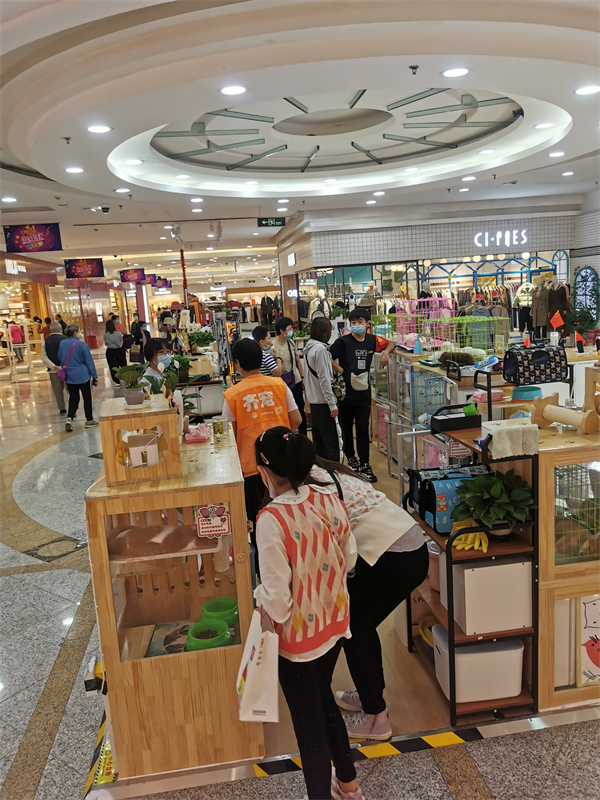 DG视讯·(中国区)官方网站