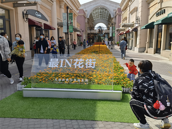 DG视讯·(中国区)官方网站