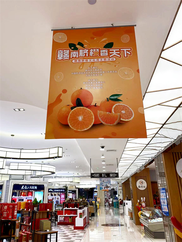 DG视讯·(中国区)官方网站