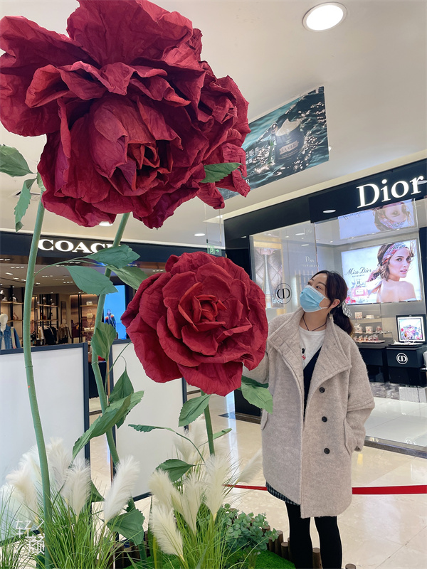 DG视讯·(中国区)官方网站