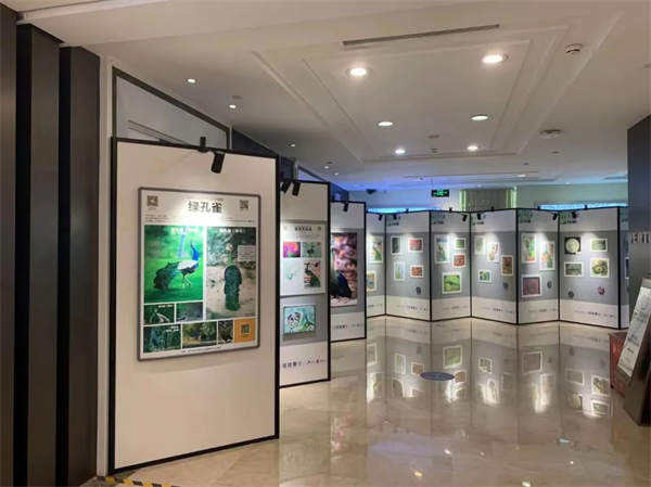 DG视讯·(中国区)官方网站