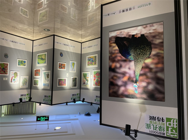 DG视讯·(中国区)官方网站