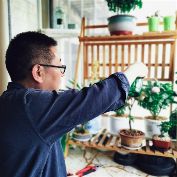 DG视讯·(中国区)官方网站