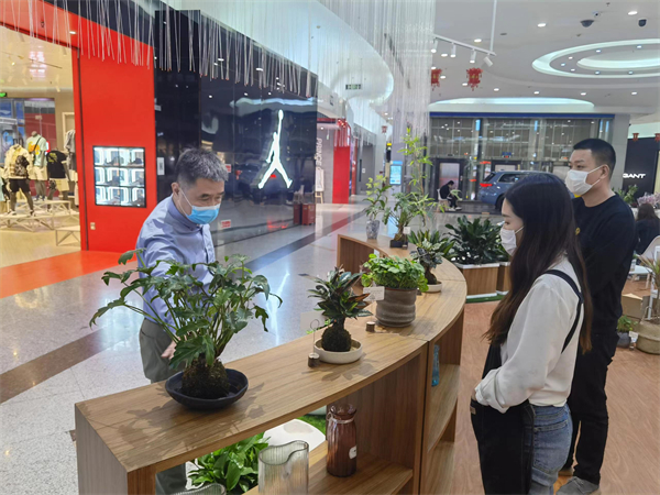 DG视讯·(中国区)官方网站