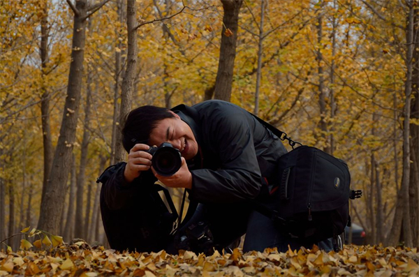 DG视讯·(中国区)官方网站