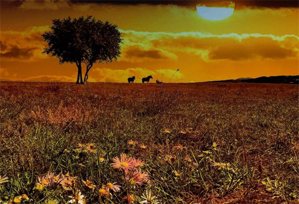 DG视讯·(中国区)官方网站