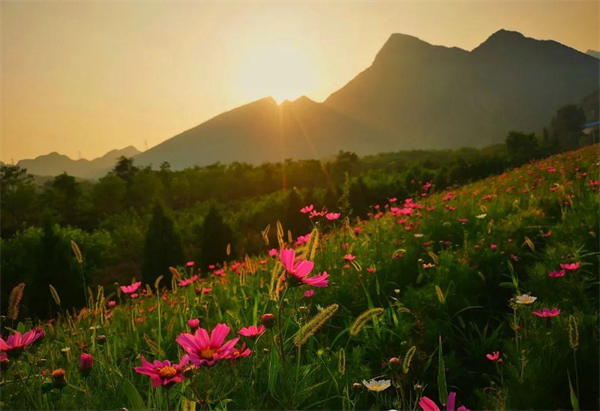 DG视讯·(中国区)官方网站