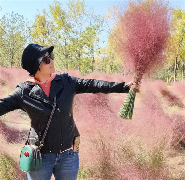 DG视讯·(中国区)官方网站