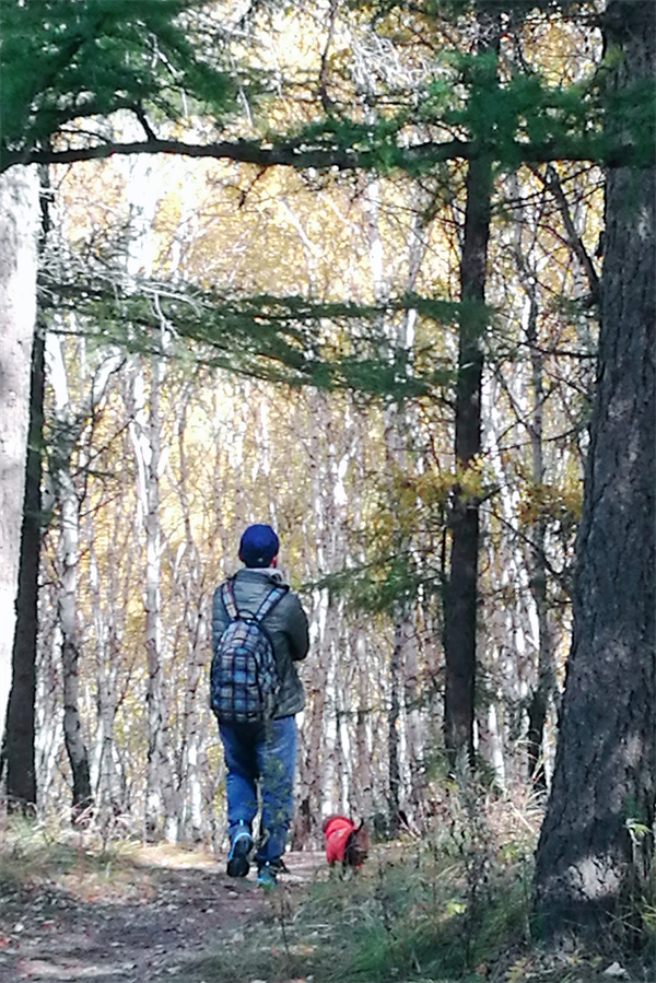 DG视讯·(中国区)官方网站