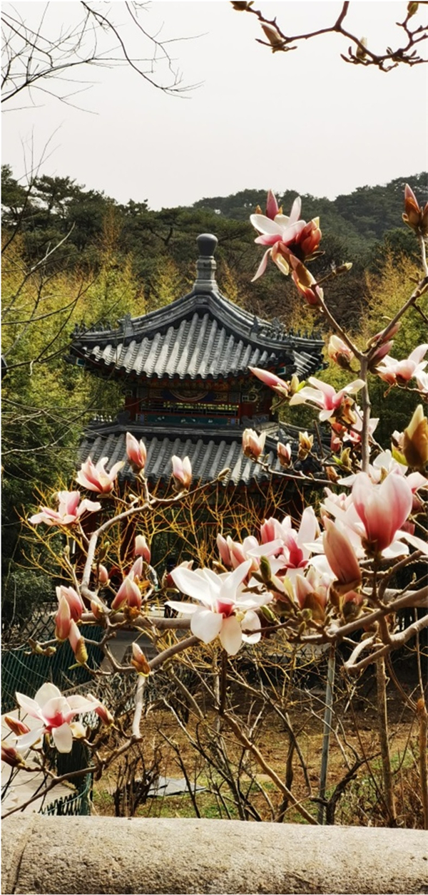 DG视讯·(中国区)官方网站