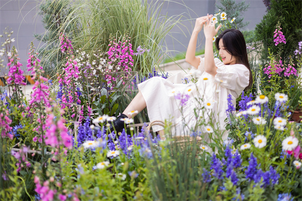 DG视讯·(中国区)官方网站