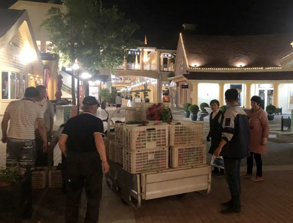 DG视讯·(中国区)官方网站