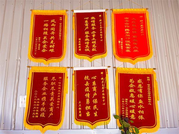 DG视讯·(中国区)官方网站