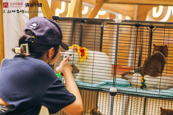 DG视讯·(中国区)官方网站