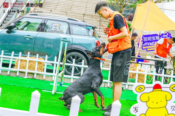 DG视讯·(中国区)官方网站