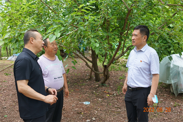 DG视讯·(中国区)官方网站