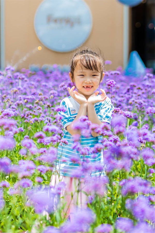 DG视讯·(中国区)官方网站