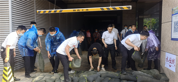 DG视讯·(中国区)官方网站