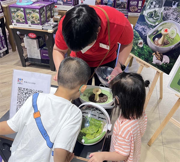 DG视讯·(中国区)官方网站