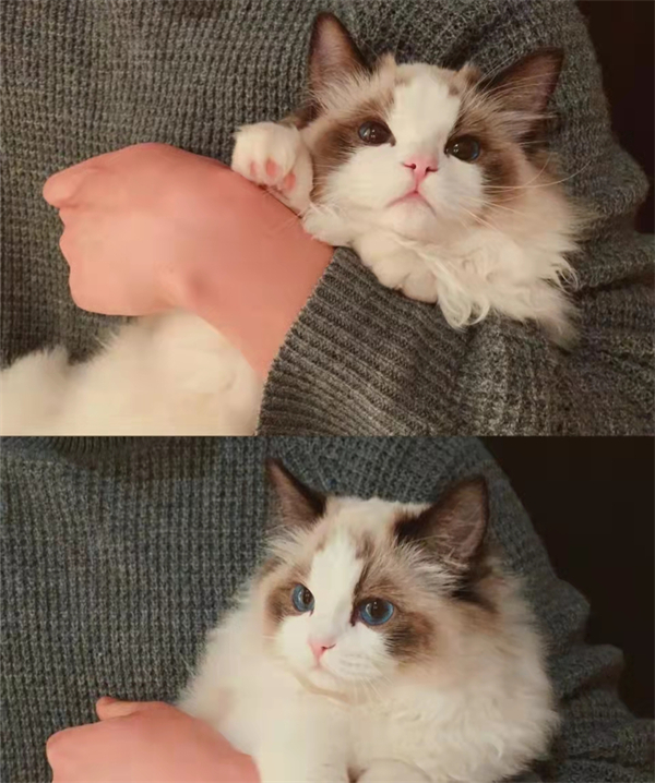 DG视讯·(中国区)官方网站