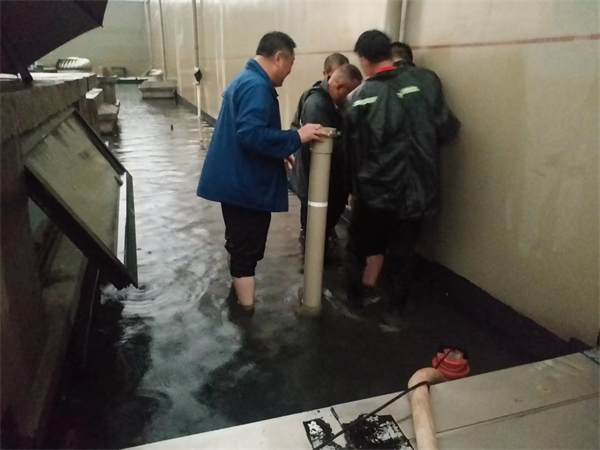 DG视讯·(中国区)官方网站