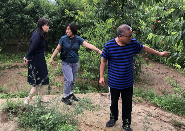 DG视讯·(中国区)官方网站